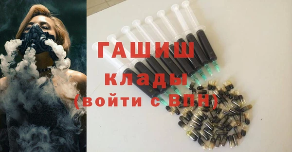 хмурый Алзамай