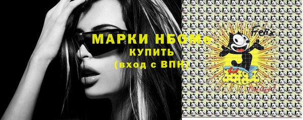 хмурый Алзамай
