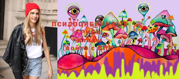 хмурый Алзамай