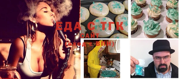 хмурый Алзамай