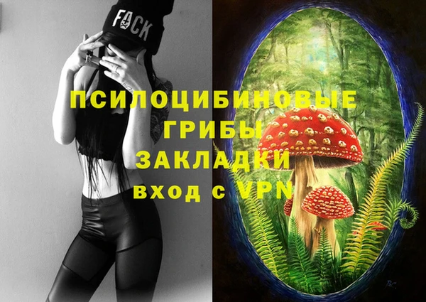 стафф Алексеевка