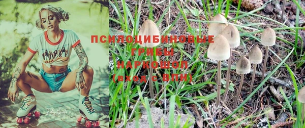 стафф Алексеевка