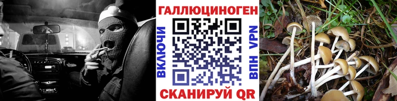 Галлюциногенные грибы MAGIC MUSHROOMS  мега tor  Ижевск 